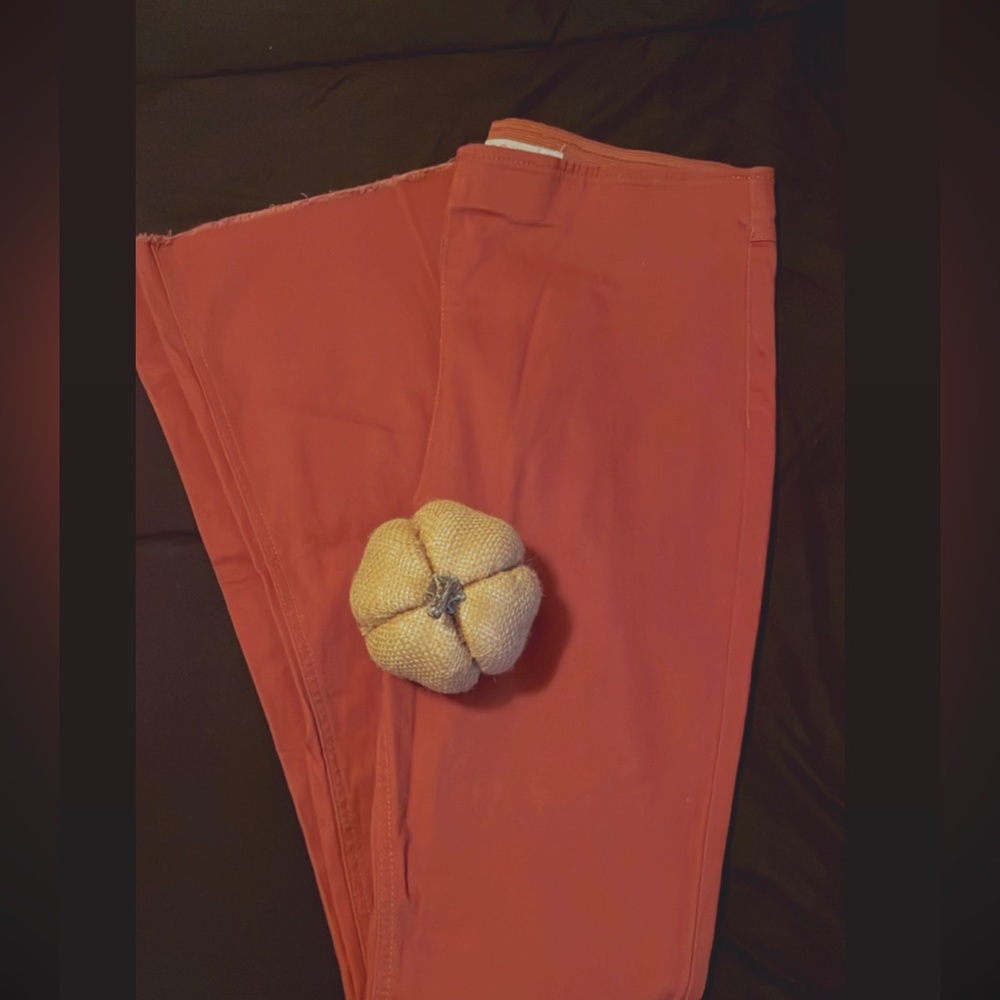 High waisted and flared burnt orange pants